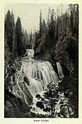 KeplerCascades1901