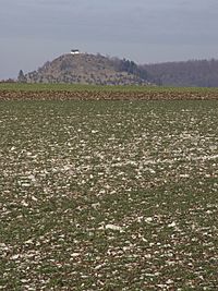 Kornbühl Salmendingen2