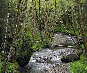 Lewis-and-clark-river.jpg