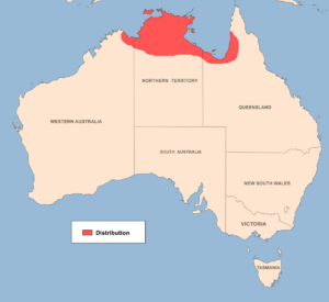 Litoria dahlii distribution map.png