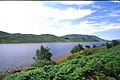 Lough Finn from the railway