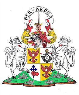 MacIntyre of Glenoe Arms of Clan Chief.jpg