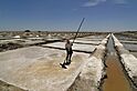 Marakkanam Salt Pans.JPG