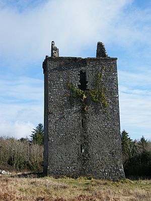 Merlinpark Castle.jpg