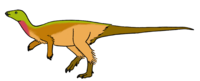 Notohypsilodon reconstruction raingerr.png