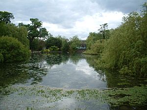 Orpington Pond CG