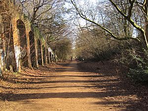 Parkland Walk