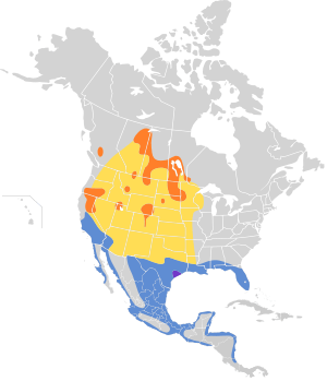 Pelecanus erythrorhynchos map.svg