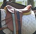 Polo saddle