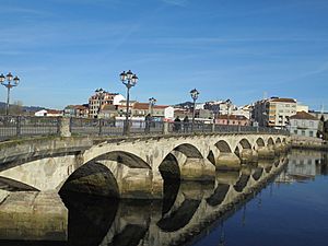 Pontevedra Capital Puente Burgo