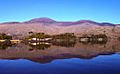 Purple Mountain View, Killarney