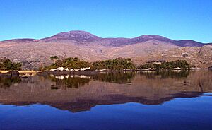 Purple Mountain View, Killarney