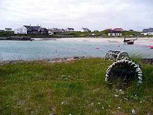 Scarinish Harbour.jpg