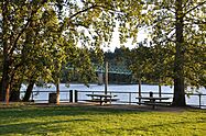 Sellwood park.jpg