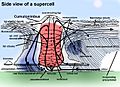 Supercell side view