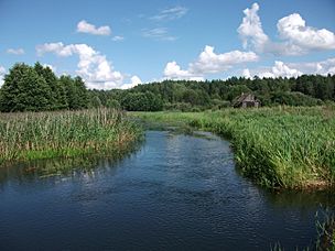 Svolna river