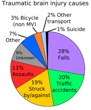 TBI causes chart