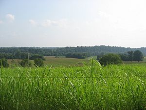 Tebbs Bend Battlefield.jpg