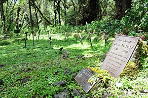 Tombe Dian Fossey