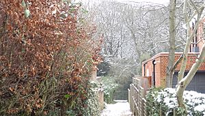 Turner's Wood path