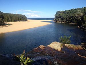 Wattamolla lagoon.jpg