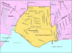 U.S. Census map