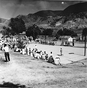 1954 Partidos basquetbol SJA