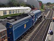 60007 Sir Nigel Gresley above rear