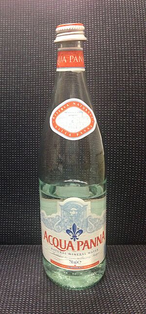 Acqua Panna mineral water in a glass bottle - 20140408