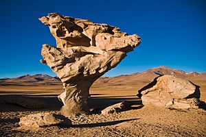 Arbol de Piedra, Bolivia (1)