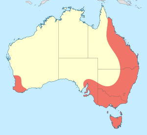 Austroaeschna distribution map.svg