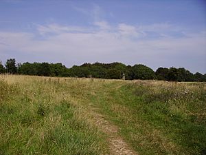 Battlefield of Lansdown.JPG