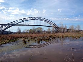 Bayonne Bridge from Nicholas Av overpass jeh