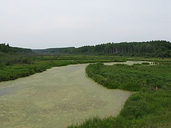 Beaver River AB.JPG