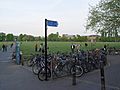 Cambridge Parkers Piece Bicycle Racks