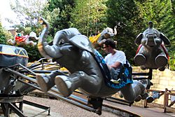 Chessington Flying Jumbos 1.jpg