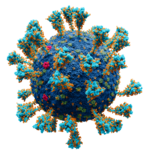 Scientifically accurate atomic model of the external structure of SARS-CoV-2. Each "ball" is an atom.