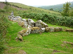 Dual Court Tomb Boho