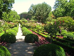 Filoli gardens - IMG 9309