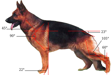 GSD-Metrics