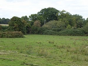 Great Cressingham Fen 4.jpg