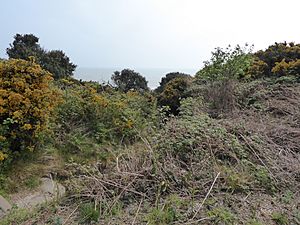 Gunton Warren 9.jpg