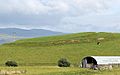 Hill fort, Ring Hill, North Balfern, Kirkinner