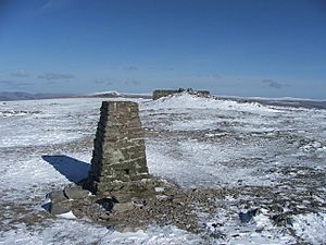 Ingleborough summit