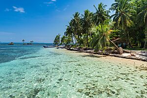 Insel Zapatilla Panama