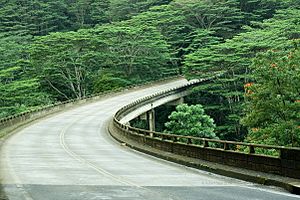 Kalihiwai bridge