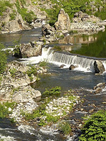 L'Eyrieux du pont de Saint Sauveur de Montagut 2007 05 19.jpg