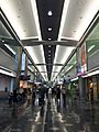 MIA concourse D view