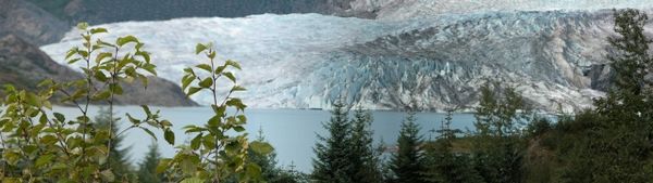 Mendenhall Glacier 2003 Panorama