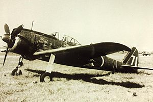 Nakajima Ki-43 Hayabusa "Peregrine Falcon".jpg